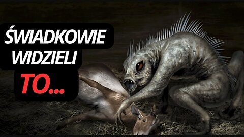 086 | CZY CHUPACABRA TO EKSPERYMENT, KTÓRY UCIEKŁ Z LABORATORIUM? | NN