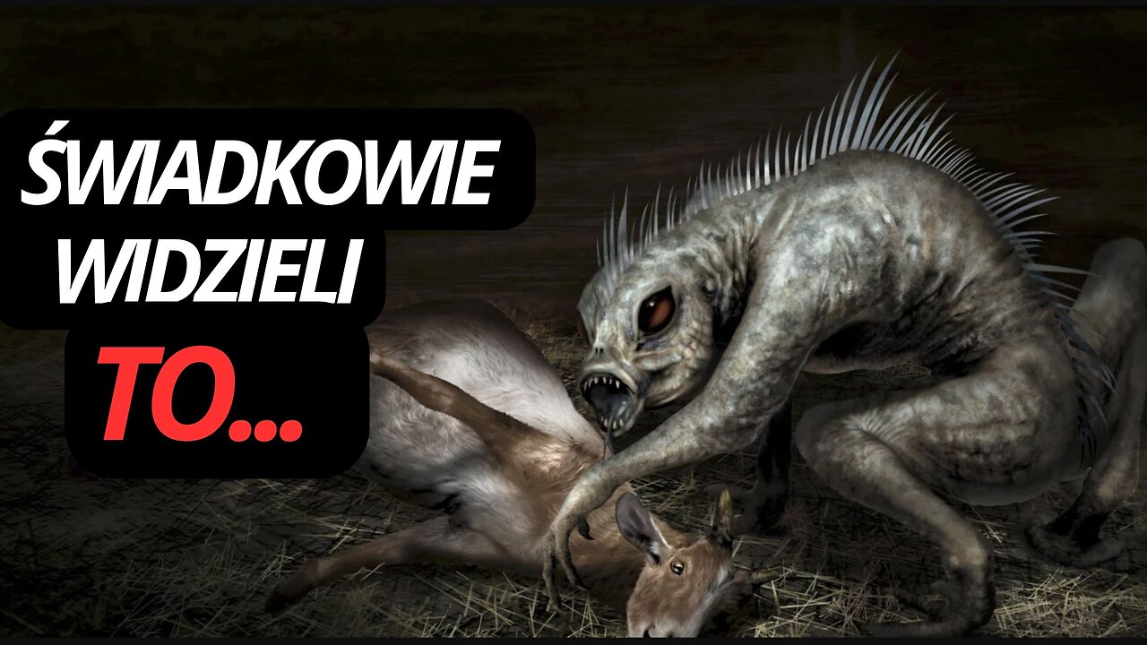 086 | CZY CHUPACABRA TO EKSPERYMENT, KTÓRY UCIEKŁ Z LABORATORIUM? | NN