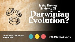 Is the Thymus Evidence of Darwinian Evolution?