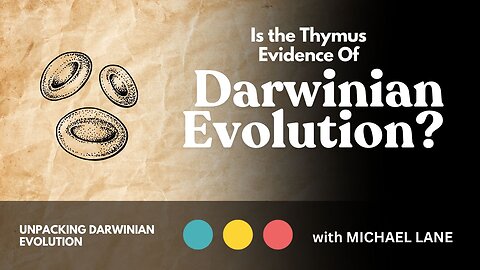 Is the Thymus Evidence of Darwinian Evolution?