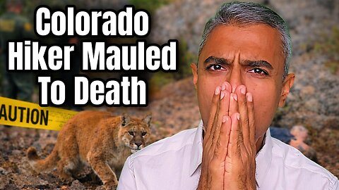 Colorado Woman Mauled to Death in Rare Mountain Lion Attack