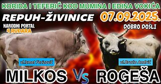 Korida kod Vokića Repuh Zivinice 07.09.2025