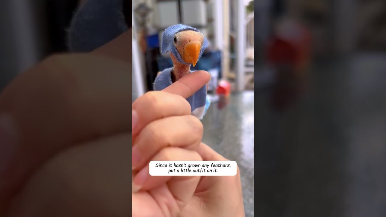 The girl picked up the egg and heres what came out of it