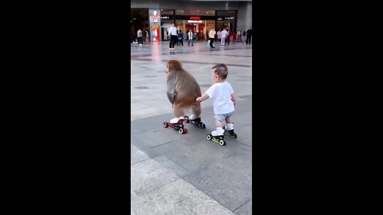 funny video shorts video