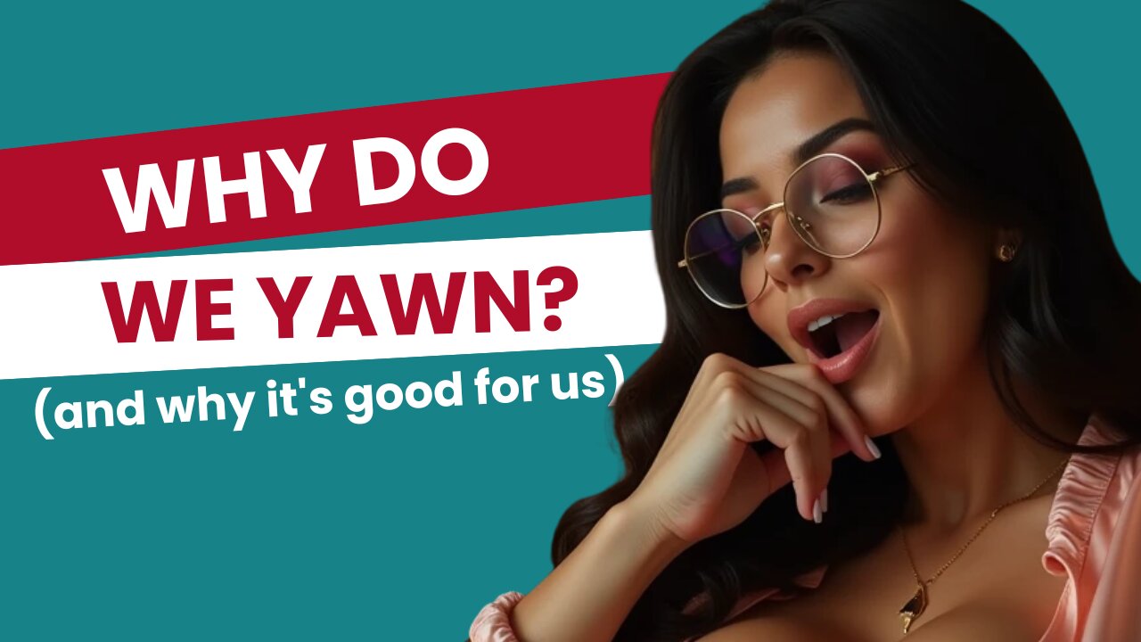 𝗪𝗵𝘆 𝗱𝗼 𝘄𝗲 𝗬𝗮𝘄𝗻?