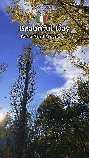 Beautiful Day / Scenery Of Nature 🍀