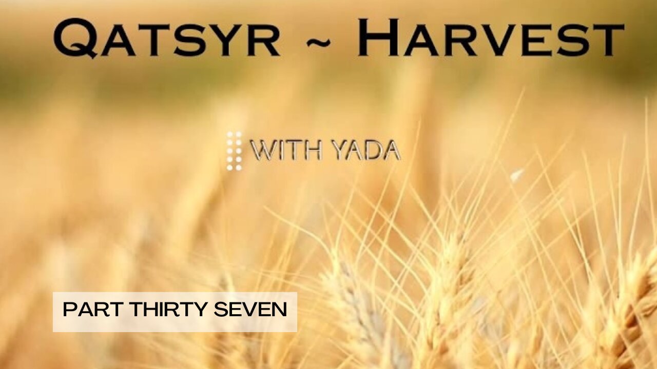 Qatsyr ~ Harvest Part Thirty Seven 01 April 2025