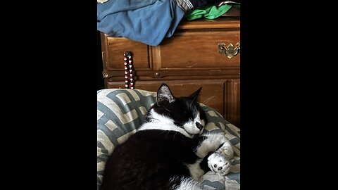Miss Noel my sleepy head