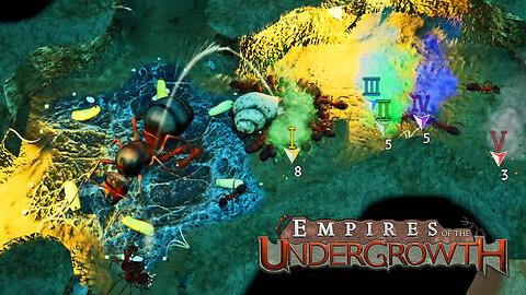 Mortar Ant Beach Assault! Empires Of The Undergrowth Part 3