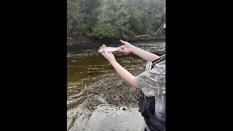 Dont try to wash live fish