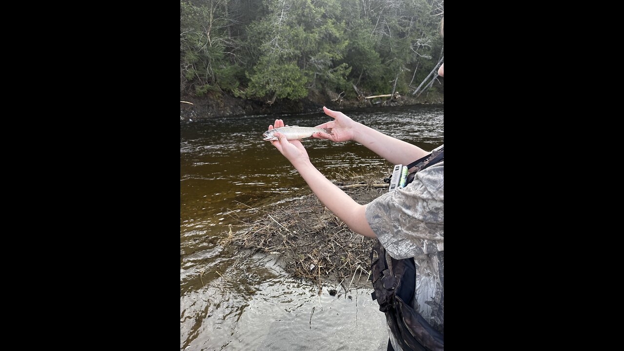 Dont try to wash live fish