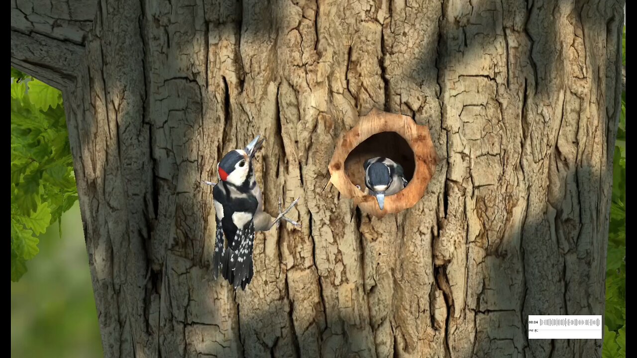 "The Great Spotted Woodpecker – Nature’s Tree-Climbing Wonder!"