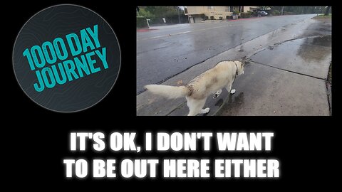 1000 Day Journey 0944 It's Ok, I Don't Want to Be Out Here Either