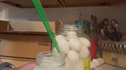 Another Way To Preserve Eggs