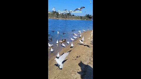 #foryoupage#viralvideo