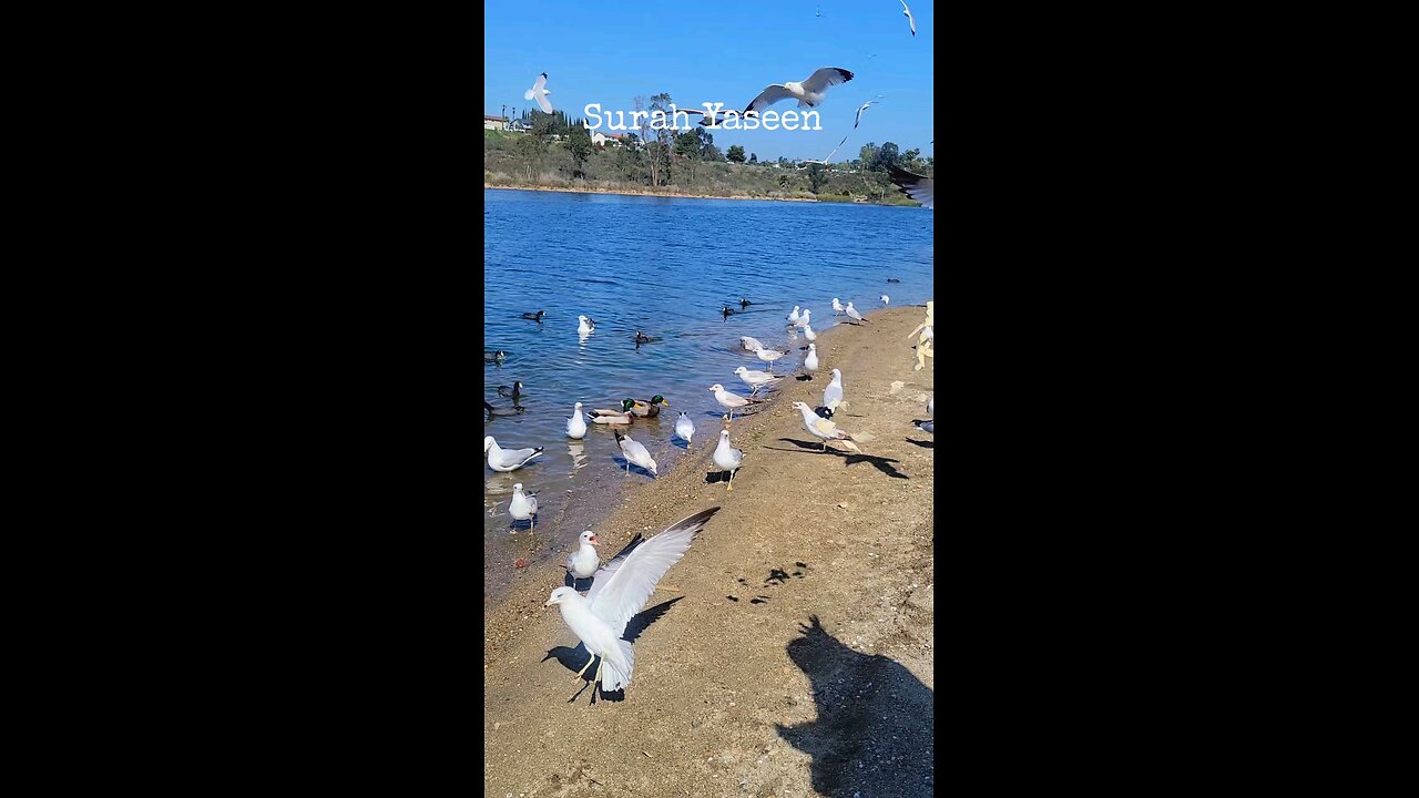 #foryoupage#viralvideo