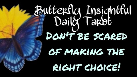 Don't be scared to make the right choice | Butterfly Insightful Daily Tarot