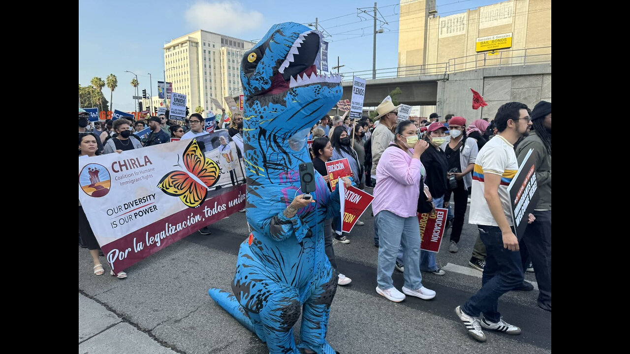 Anti-ICE Thugs terrorize LA
