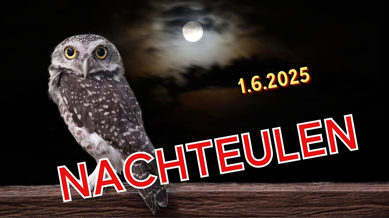 Nachteulen - 01.06.2025