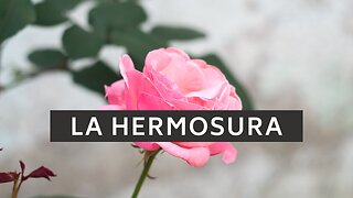 🕊️ ️La hermosura | Cantares 1:15-16