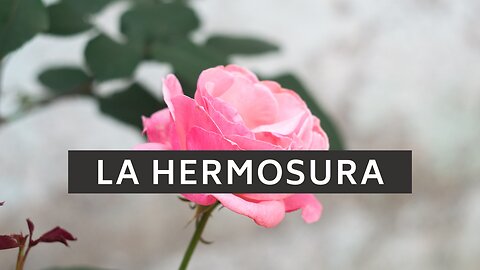 🕊️ ️La hermosura | Cantares 1:15-16