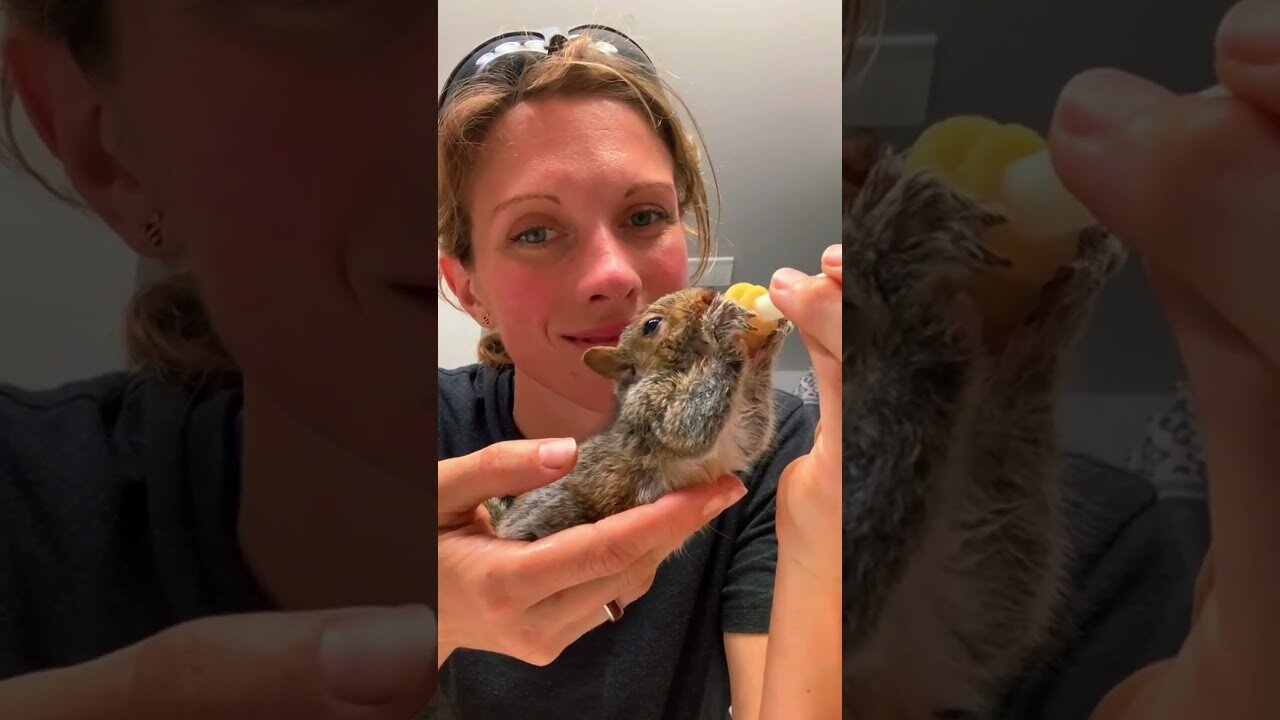 Guy found a squirrel alone in a tree and saved him