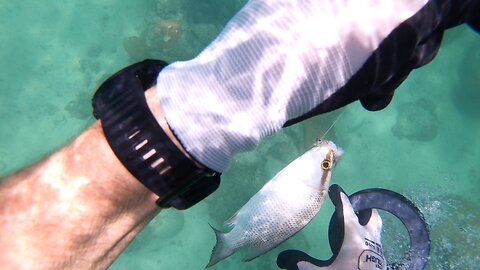 Keybilly Hand Fishing