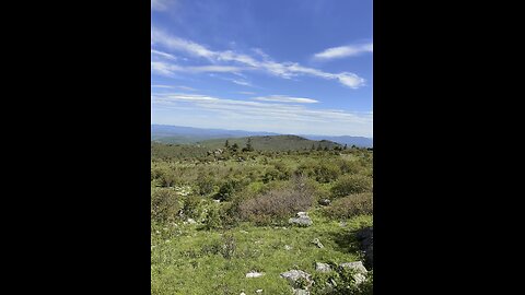 Grayson Highlands Life! #yeshua #jesus #trail #hiking #nature #horse #hiking-trail #naturetrail