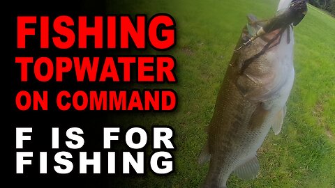 Fishing Topwater on Command