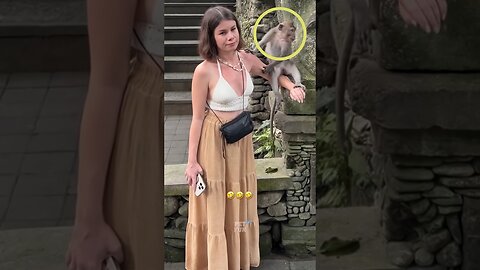 Funny Animals #funnyanimals #animals #pets #shorts