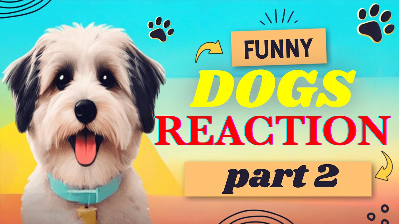 funny dogs reaction🤣 part 2