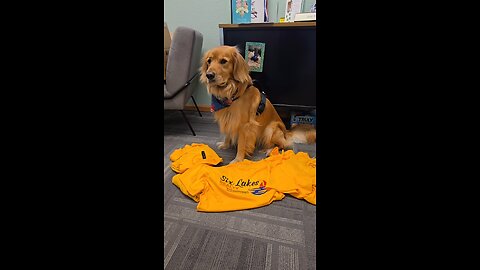 I volunteer for the treats and attention, but it still counts!