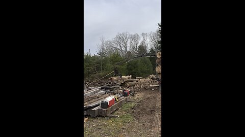 More log truck loading