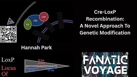 Cre-LoxP Recombination - A Novel Approach To Genetic Modification - Hannah Park