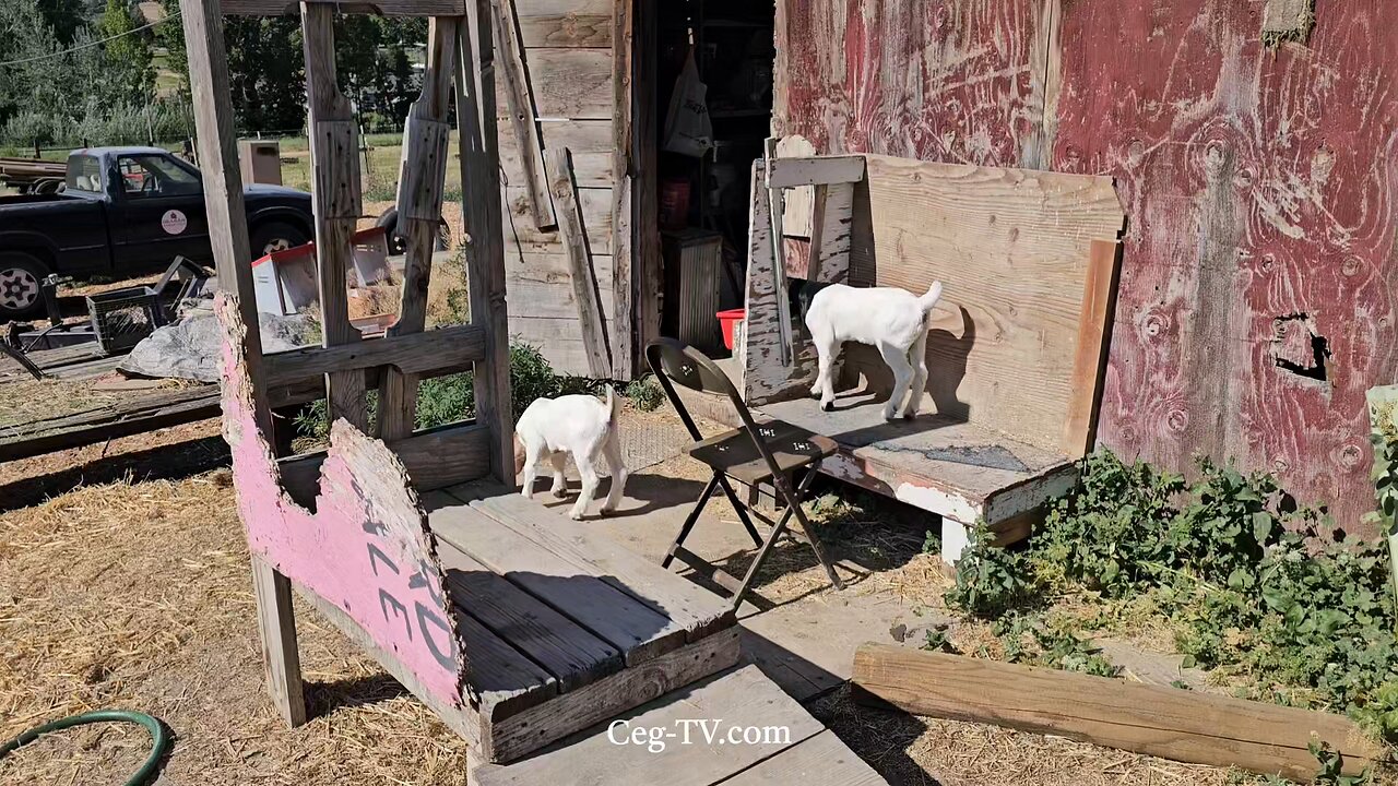 Graham Family Farm: 9:20 AM June 18 2025