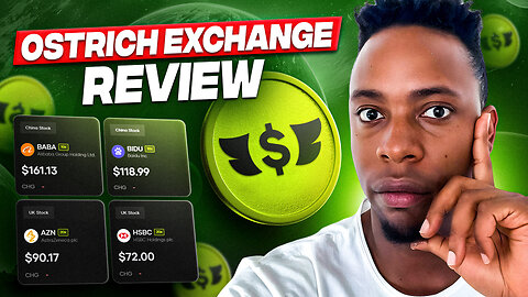 Ostrich Exchange Review (2026) — Is it the Future of On-Chain Trading?