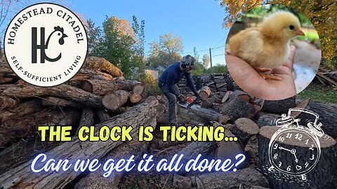 Behind on Summer Projects - Winter Prep Crunch Time on Our Homestead