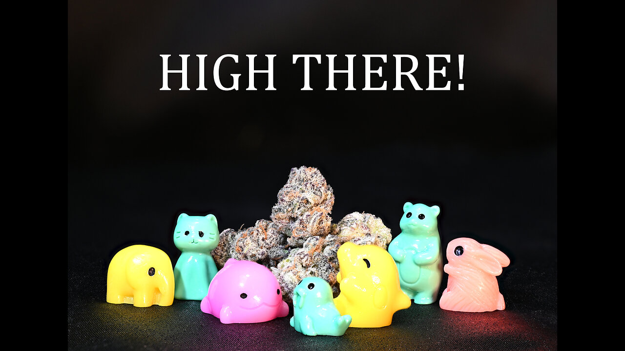 Dab Can Explain music weed