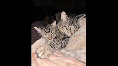 Episode 3032 CWSA 11/30/25