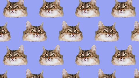 It's bin long time Music stream 🎶 🎵