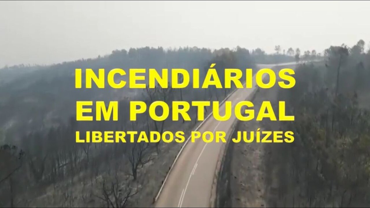 INCENDIÁRIOS EM PORTUGAL LIBERTADOS POR JUÍZES