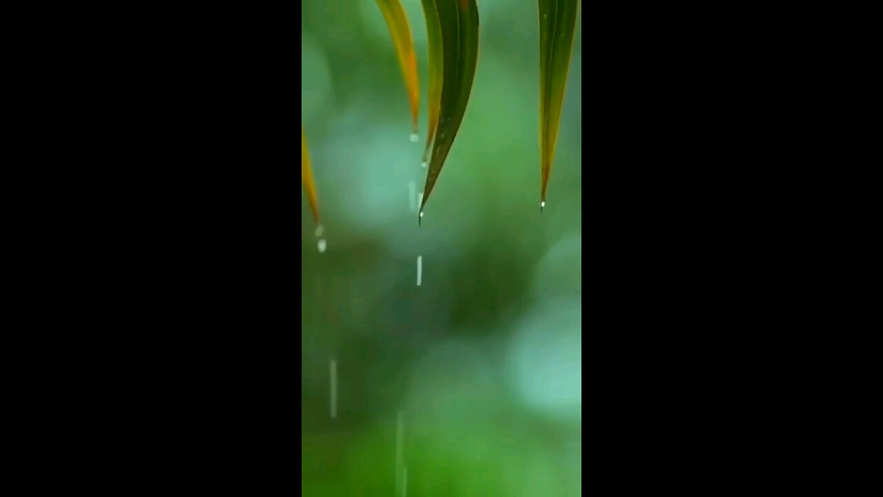 ☔ Day relaxing 🥰