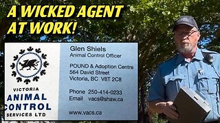 ANIMAL CONTROL TYRANNY