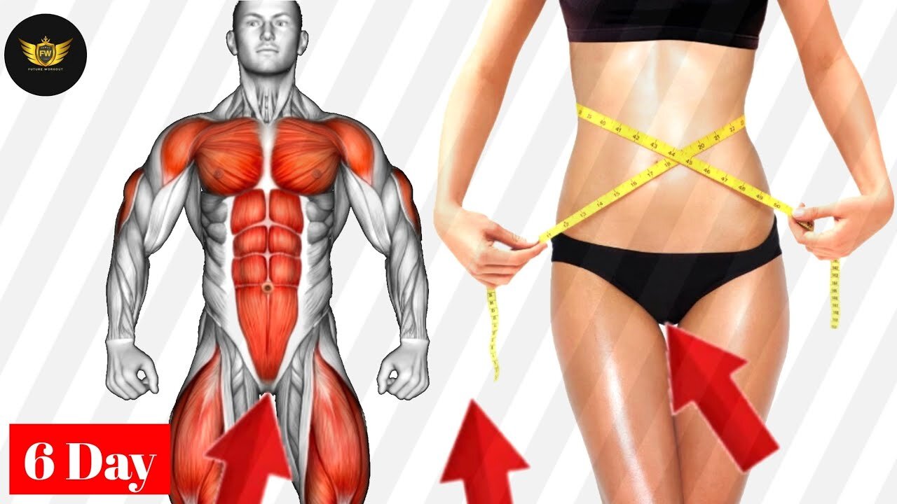 Standing Dumbbell Exercises for a Full Body Workouts