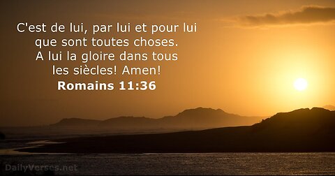 Romains Chapitre 11 a 13