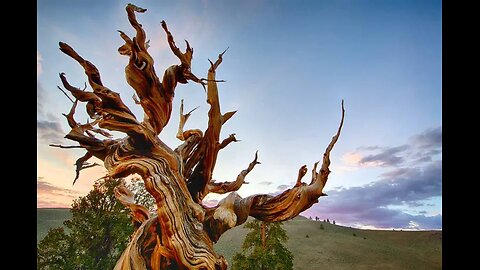 Chatsplaining the Interwebs - Halloween Edition