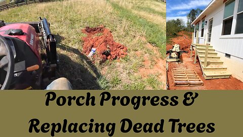 Porch progress & Replacing Dead Trees