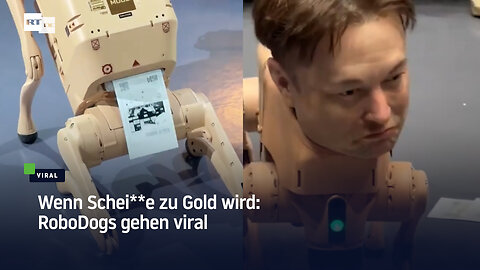 Wenn Schei**e zu Gold wird: RoboDogs gehen viral