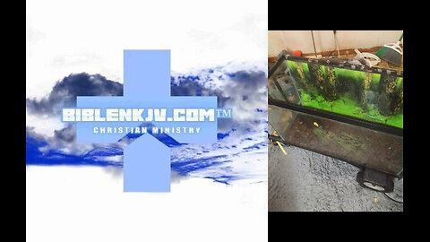 BIBLENKJV.COM™ 🛐 TAKING THE FISHTANKS DOWN? #FISHCAM