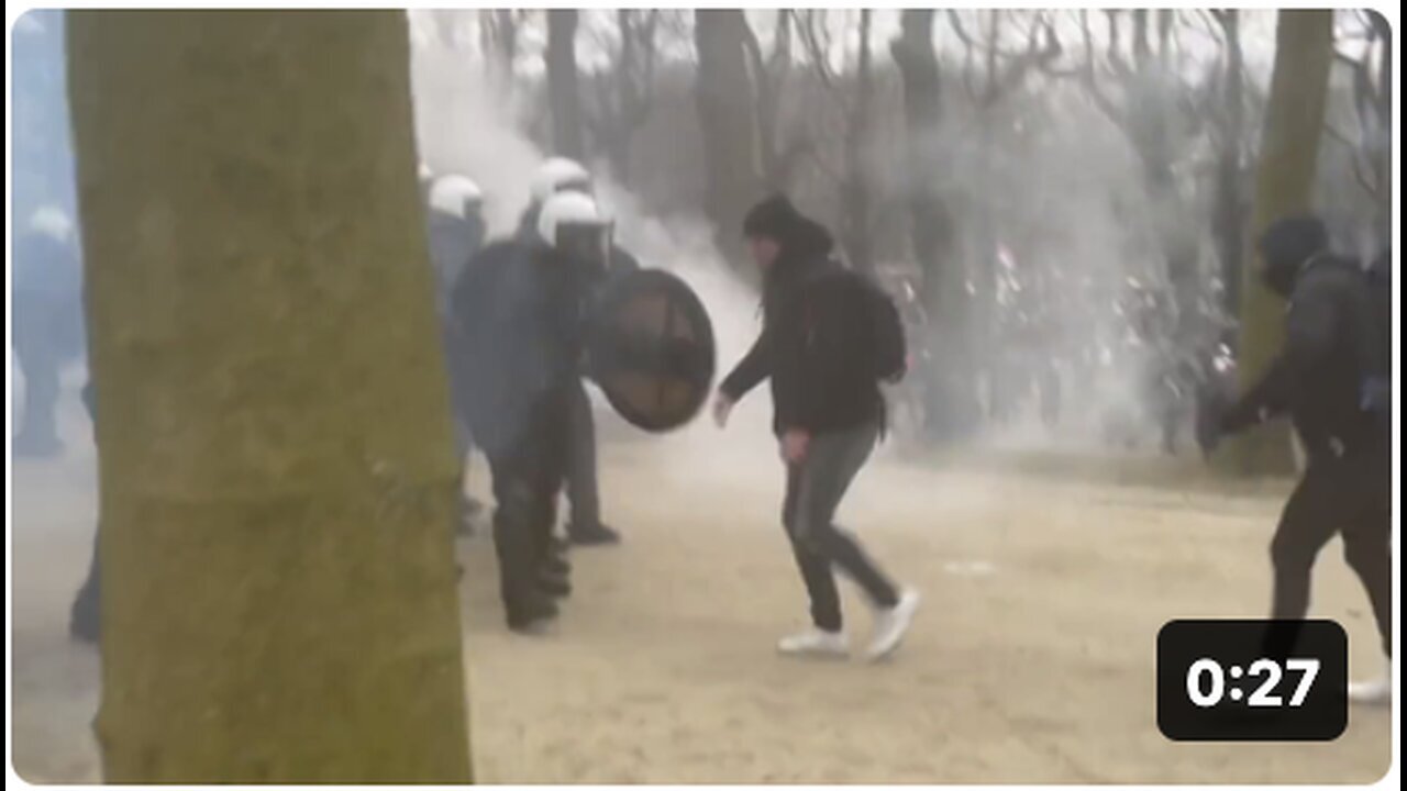 "Pigs Spray Their Own Secret Agents: A Spectacle to Watch"